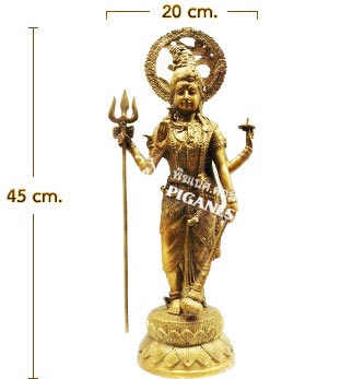 Ardhanarishvara Composite power